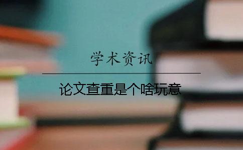 论文查重是个啥玩意？