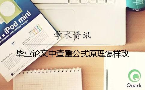 毕业论文中查重公式原理怎样改