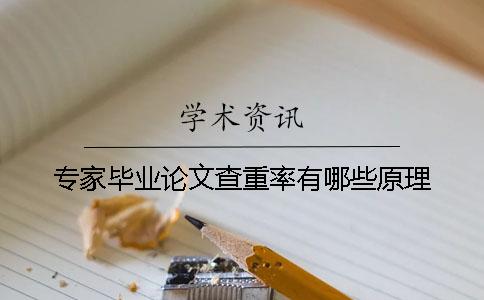 专家毕业论文查重率有哪些原理