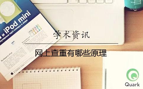 网上查重有哪些原理