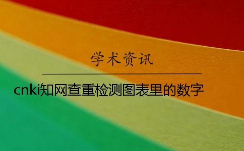 cnki知网查重检测图表里的数字