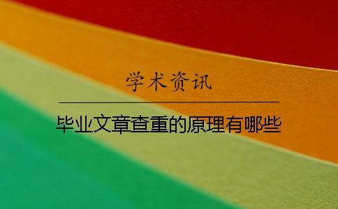 毕业文章查重的原理有哪些