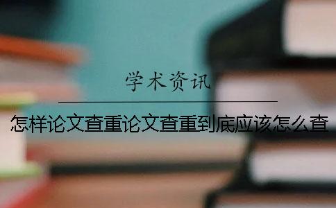 怎样论文查重论文查重到底应该怎么查-