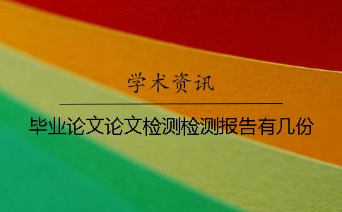 毕业论文论文检测检测报告有几份
