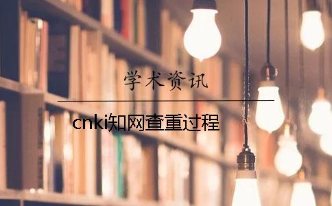 cnki知网查重过程