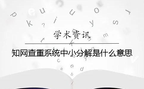 知网查重系统中小分解是什么意思