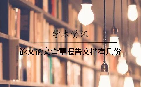 论文论文查重报告文档有几份